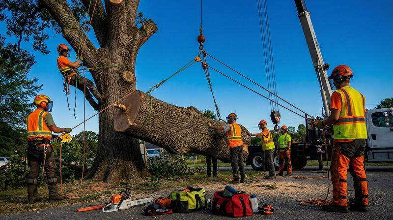 Land Clearing Services